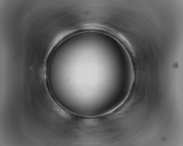 X0000100381376200806061208
