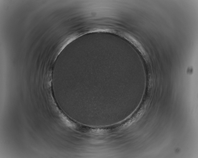 X0000100381377200806061208