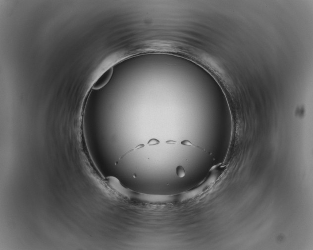X0000100381378200806061208