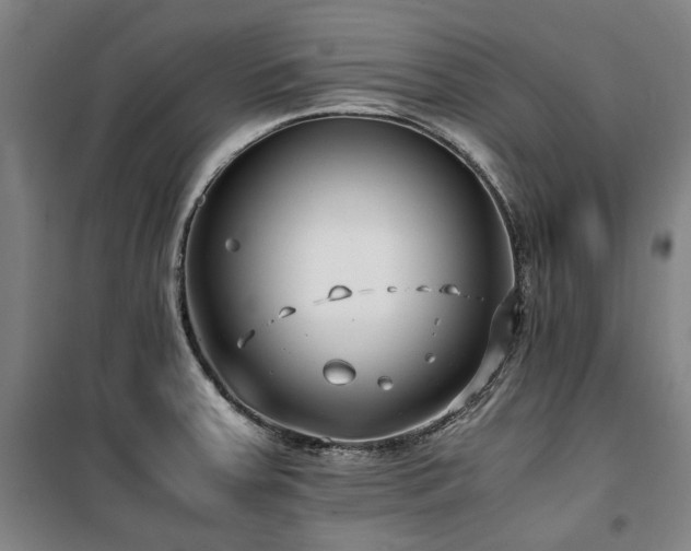 X0000100381379200806061208