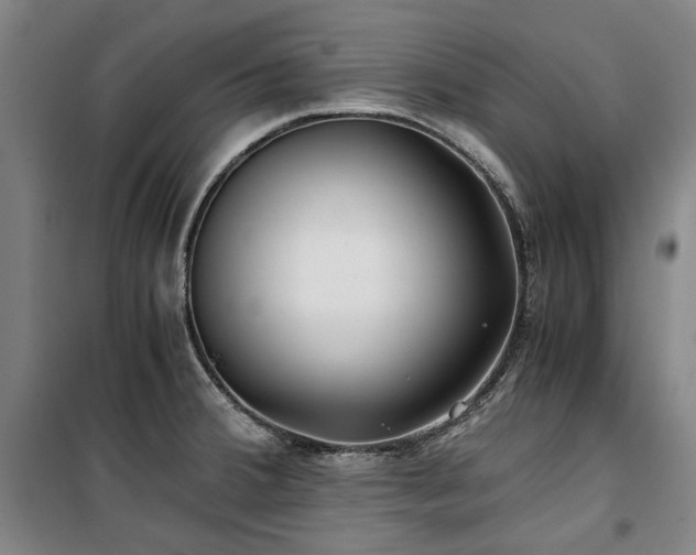 X0000100381380200806061208
