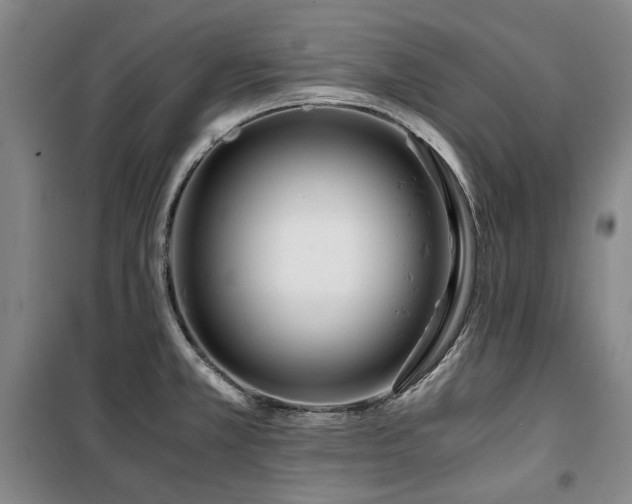 X0000100381381200806061208