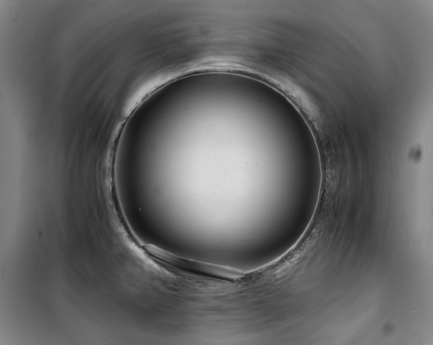 X0000100381382200806061208
