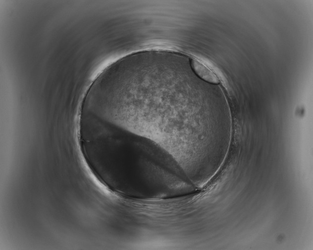 X0000100381383200806061208