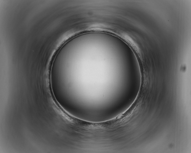 X0000100381384200806061208