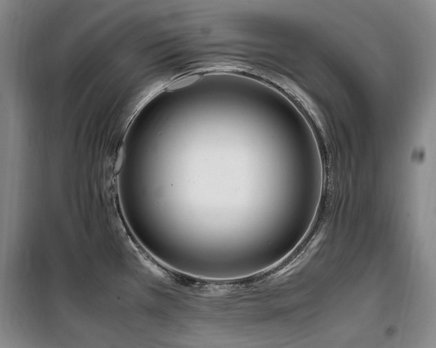 X0000100381385200806061208