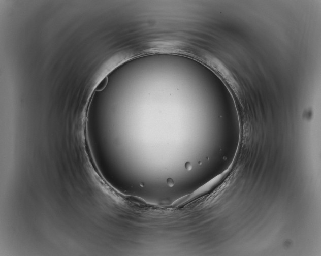 X0000100381386200806061208