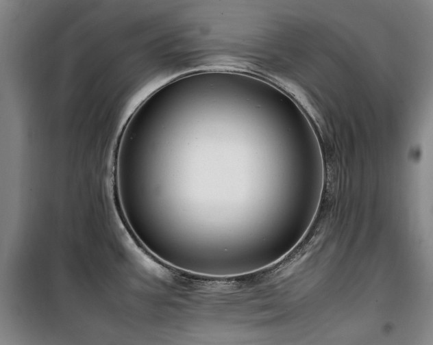 X0000100381387200806061208