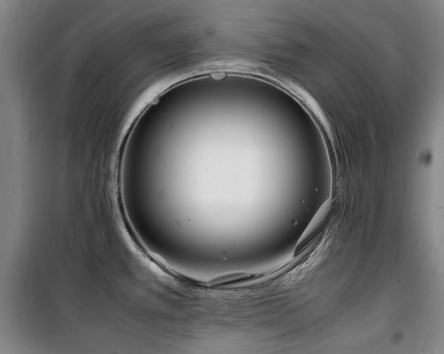 X0000100381389200806061208