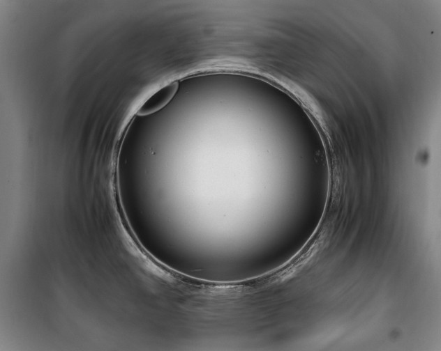X0000100381390200806061208