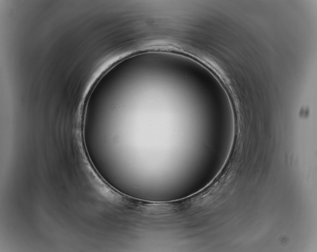 X0000100381392200806061208