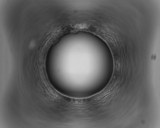 X0000100381393200806061207