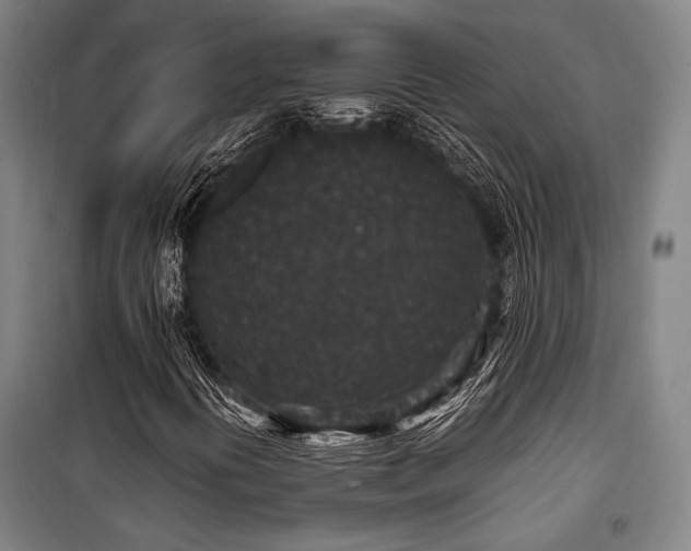X0000100381394200806061208