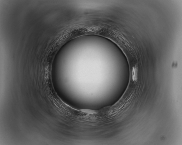 X0000100381395200806061208