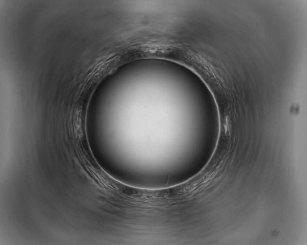 X0000100381396200806061208