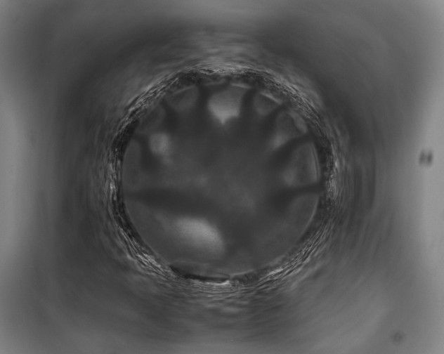 X0000100381397200806061208