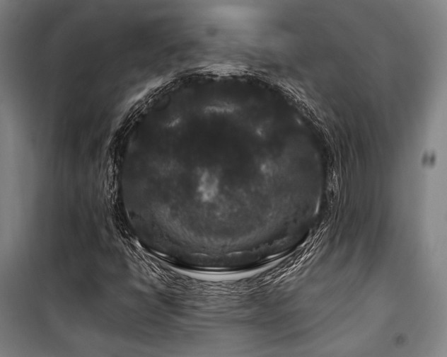 X0000100381398200806061208
