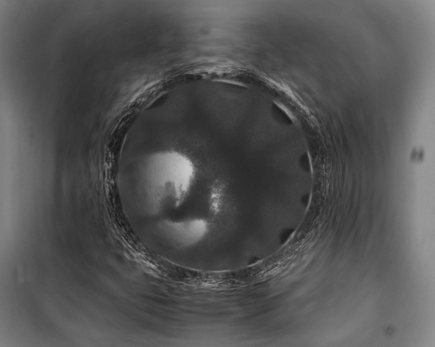 X0000100381399200806061208