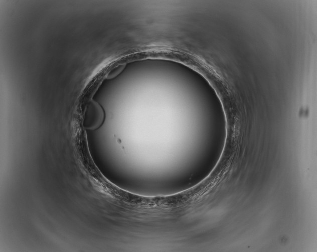 X0000100381400200806061208
