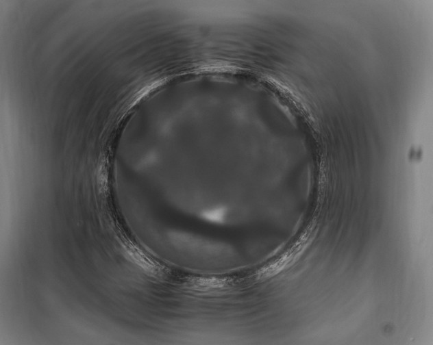 X0000100381401200806061208