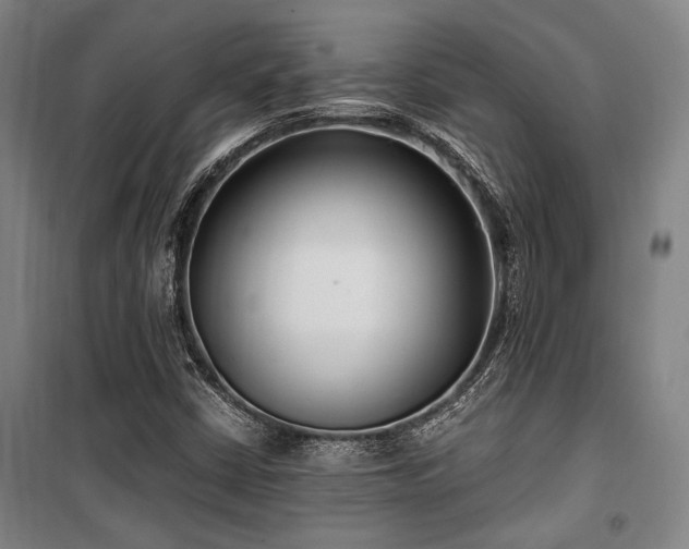 X0000100381402200806061208