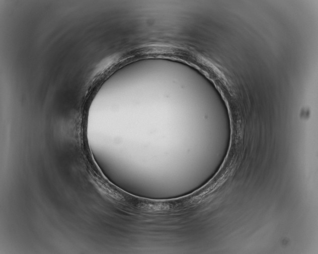 X0000100381403200806061208