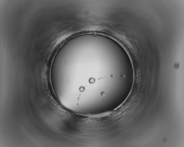 X0000100381404200806061208