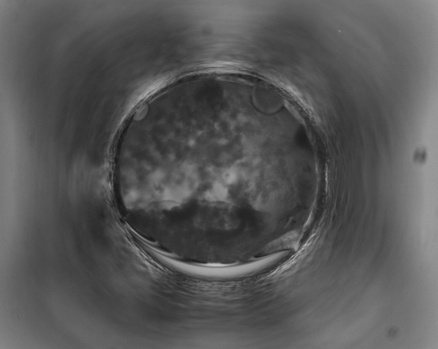 X0000100381405200806061208