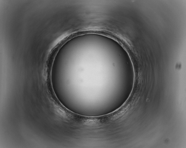 X0000100381406200806061208