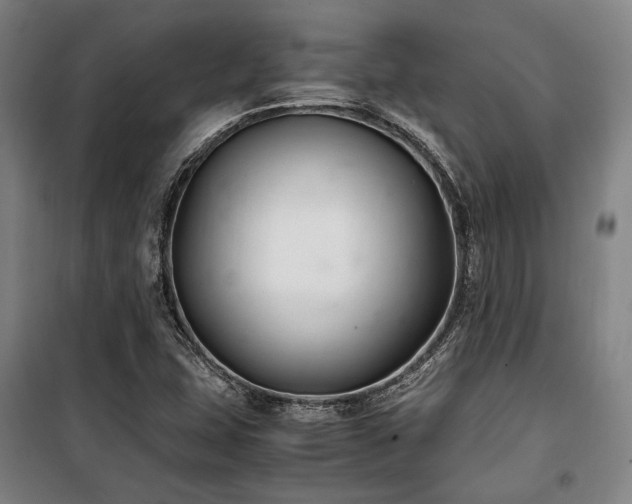 X0000100381407200806061208