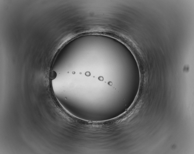 X0000100381409200806061208