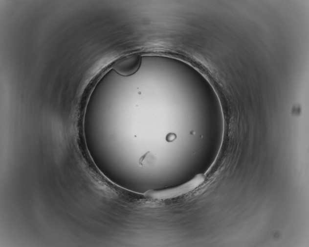 X0000100381410200806061208