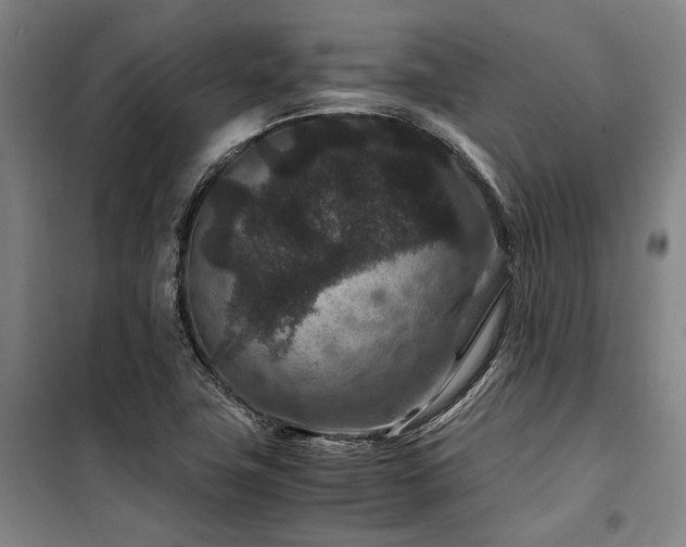 X0000100381411200806061208