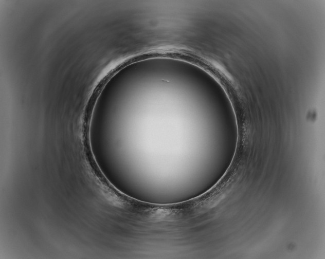 X0000100381412200806061208