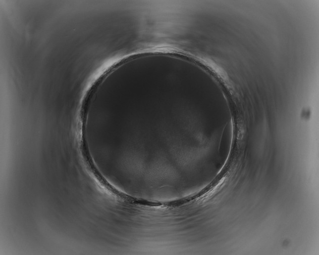 X0000100381414200806061208