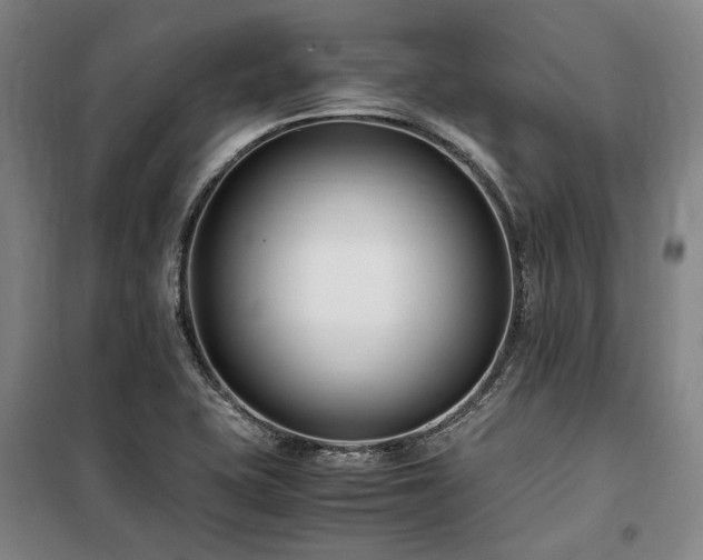 X0000100381415200806061208