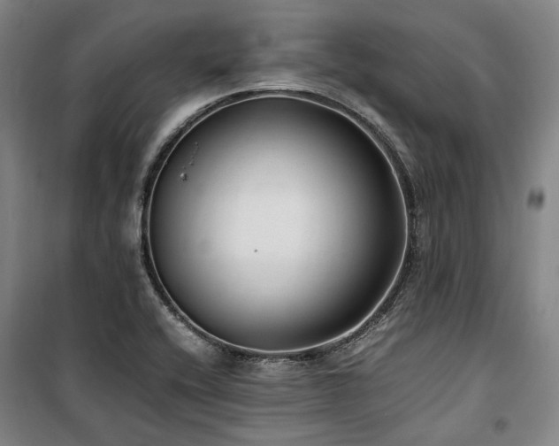 X0000100381416200806061208