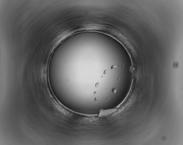 X0000100381417200806061208