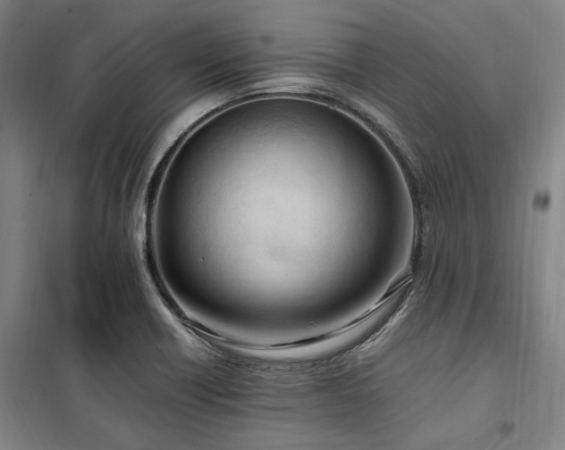 X0000100381418200806061208