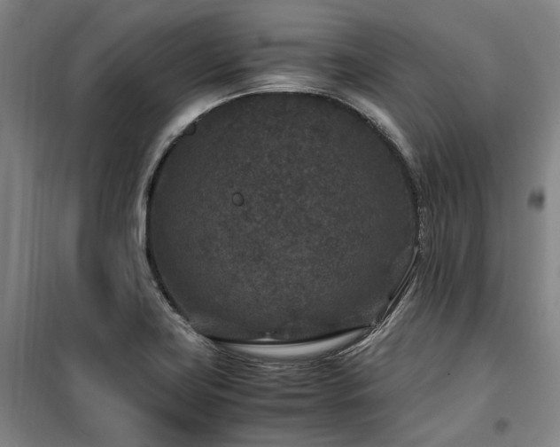 X0000100381419200806061208
