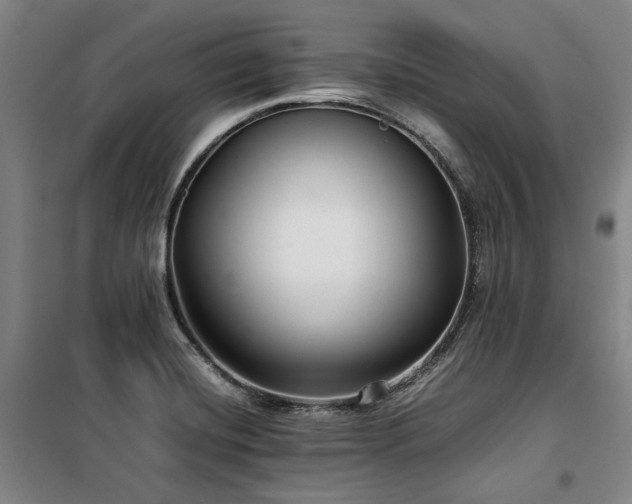 X0000100381420200806061208