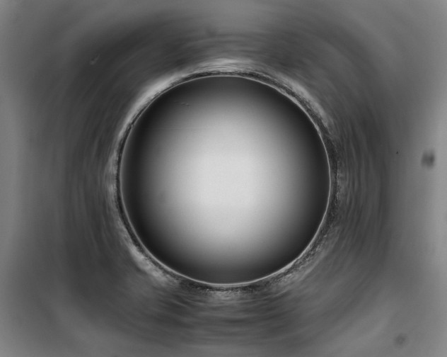 X0000100381421200806061208