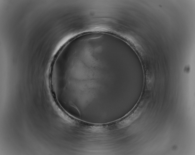 X0000100381422200806061208