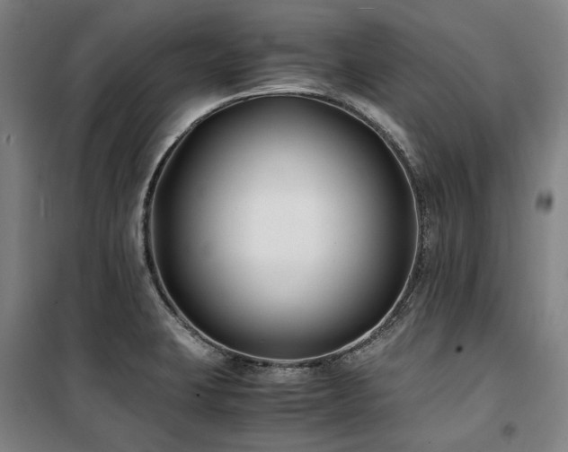 X0000100381423200806061208