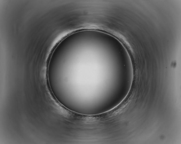 X0000100381424200806061208