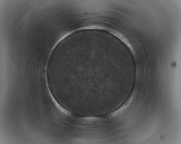 X0000100381425200806061208