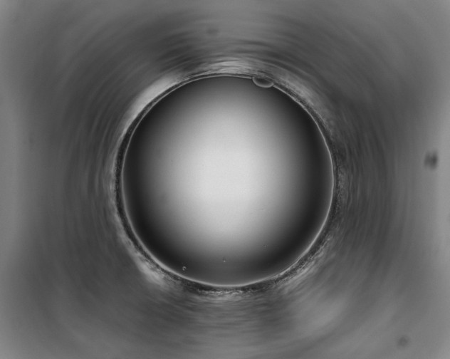 X0000100381426200806061208