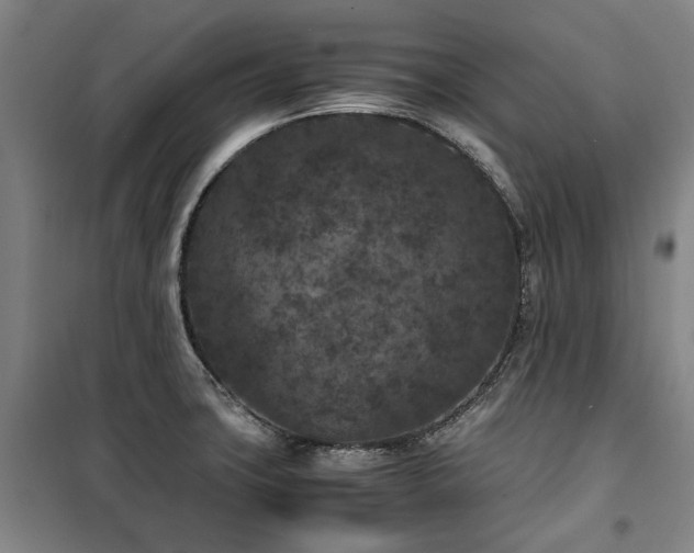 X0000100381427200806061208