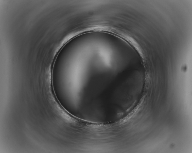 X0000100381428200806061208