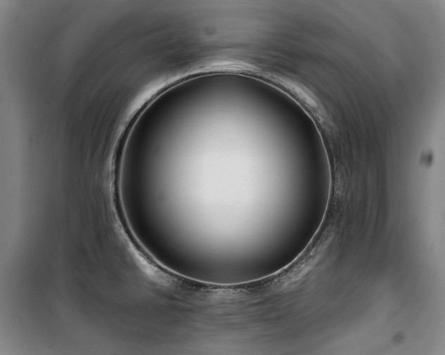 X0000100381430200806061208